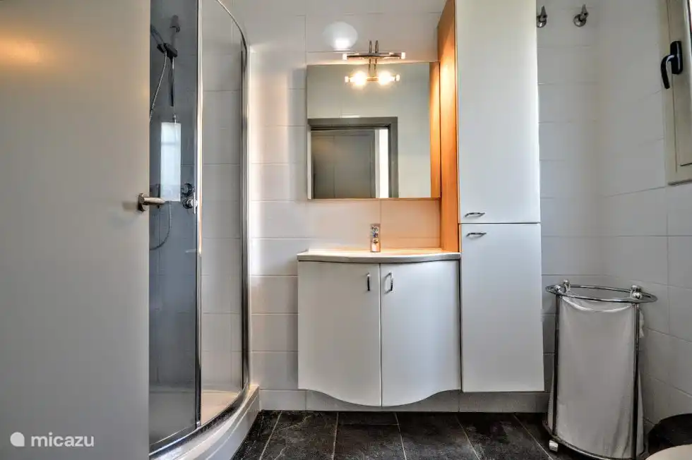 Salle de bain attenante avec douche, lavabo et toilettes appartenant à la chambre du bas.