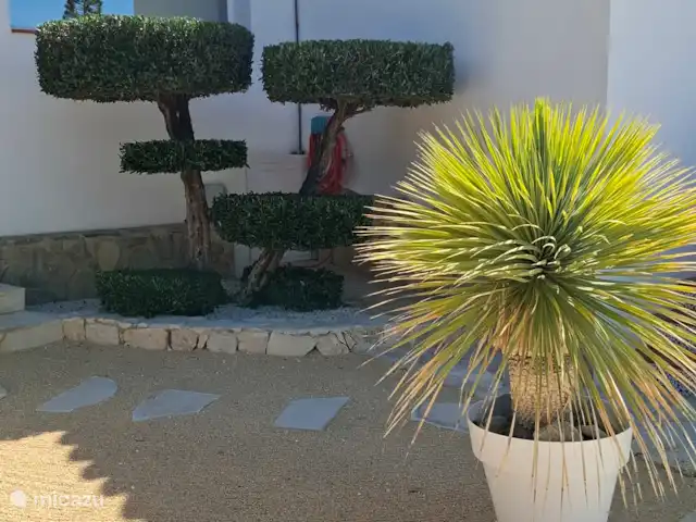 Casa Mare Selva en España, Costa Blanca, Benissa - casa vacacional Hermosas plantas en un ambiente sureño.