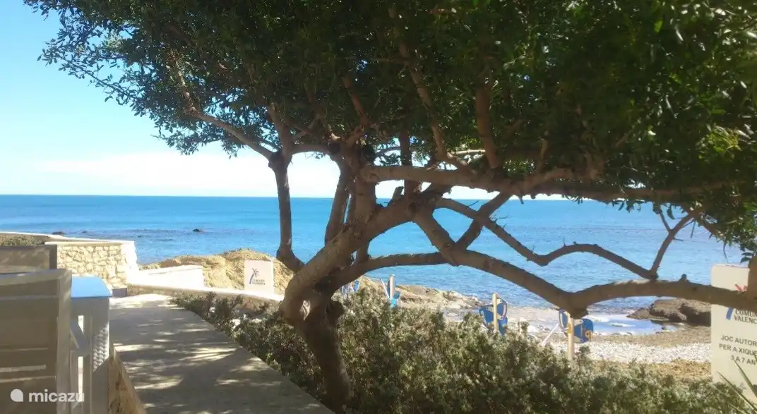 Wanderwege, um die schöne Natur zu genießen: Meer, Grün und Felsen.