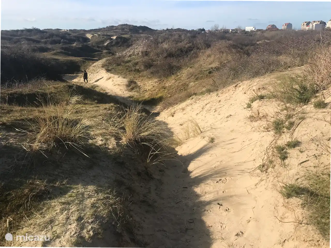À côté de la ville se trouvent de grandes zones de dunes d'environ 650 hectares, vous pouvez donc vous promener ici sans fin et vous allonger dans un bac à dunes pendant les mois d'été, ou prendre un verre dans le sable avec votre famille et vos amis.