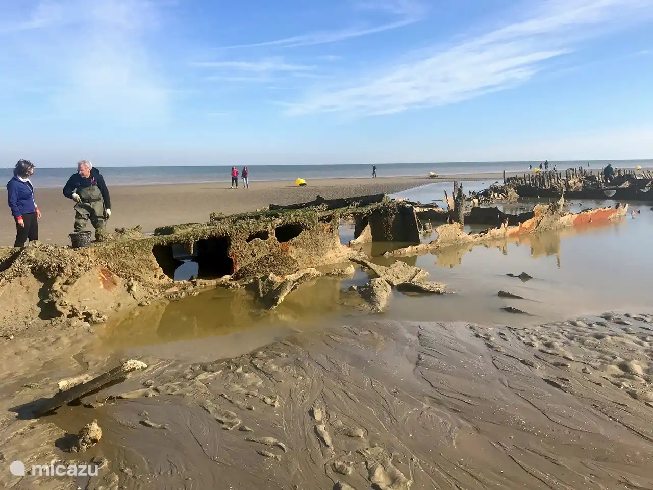 Dans l'épave, les hommes recherchent les plus belles moules pour leur propre consommation.