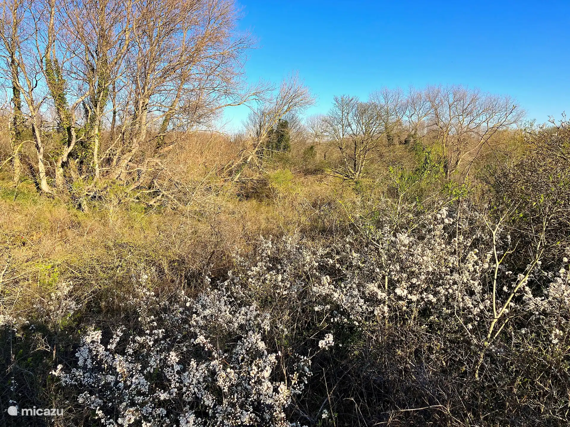 Bienvenue dans notre cour arrière ! Juste à côté de votre appartement, de nombreux sentiers de randonnée commencent à travers l’une des plus grandes zones de dunes protégées de la côte nord de l’Europe. Au total, 16 réserves, interconnectées, totalisent 750 hectares. 
