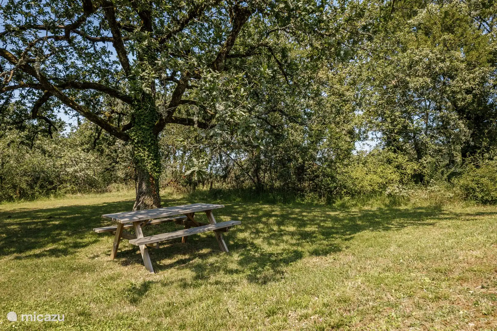 Picknicktisch im Garten
