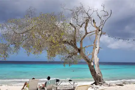 Cas Abou (Plage de Bon Bini)