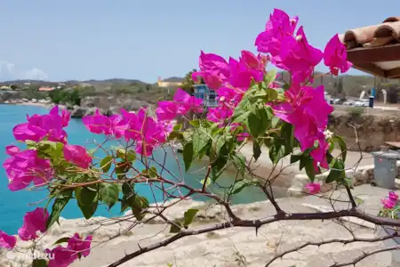 Plage Forti