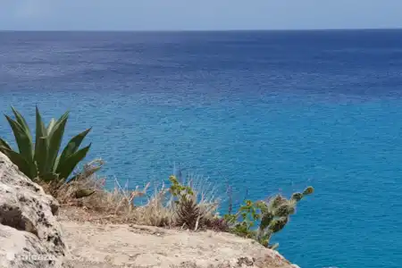Plage Forti