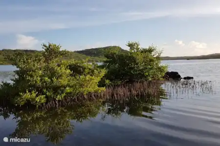 Belle réserve naturelle, marais salants à Boka Sami / Malpais