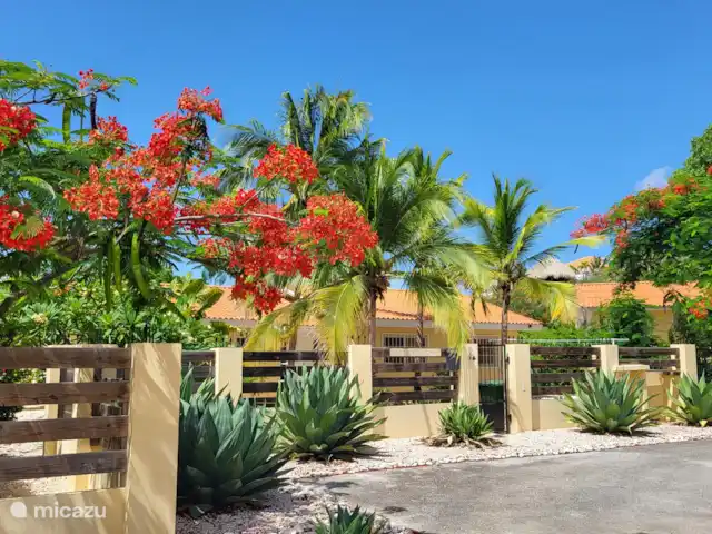 Villa Dushi Arembos, privézwembad 6p huren in Curaçao, Banda Abou (west), Grote Berg - villa Tropisch paradijsje