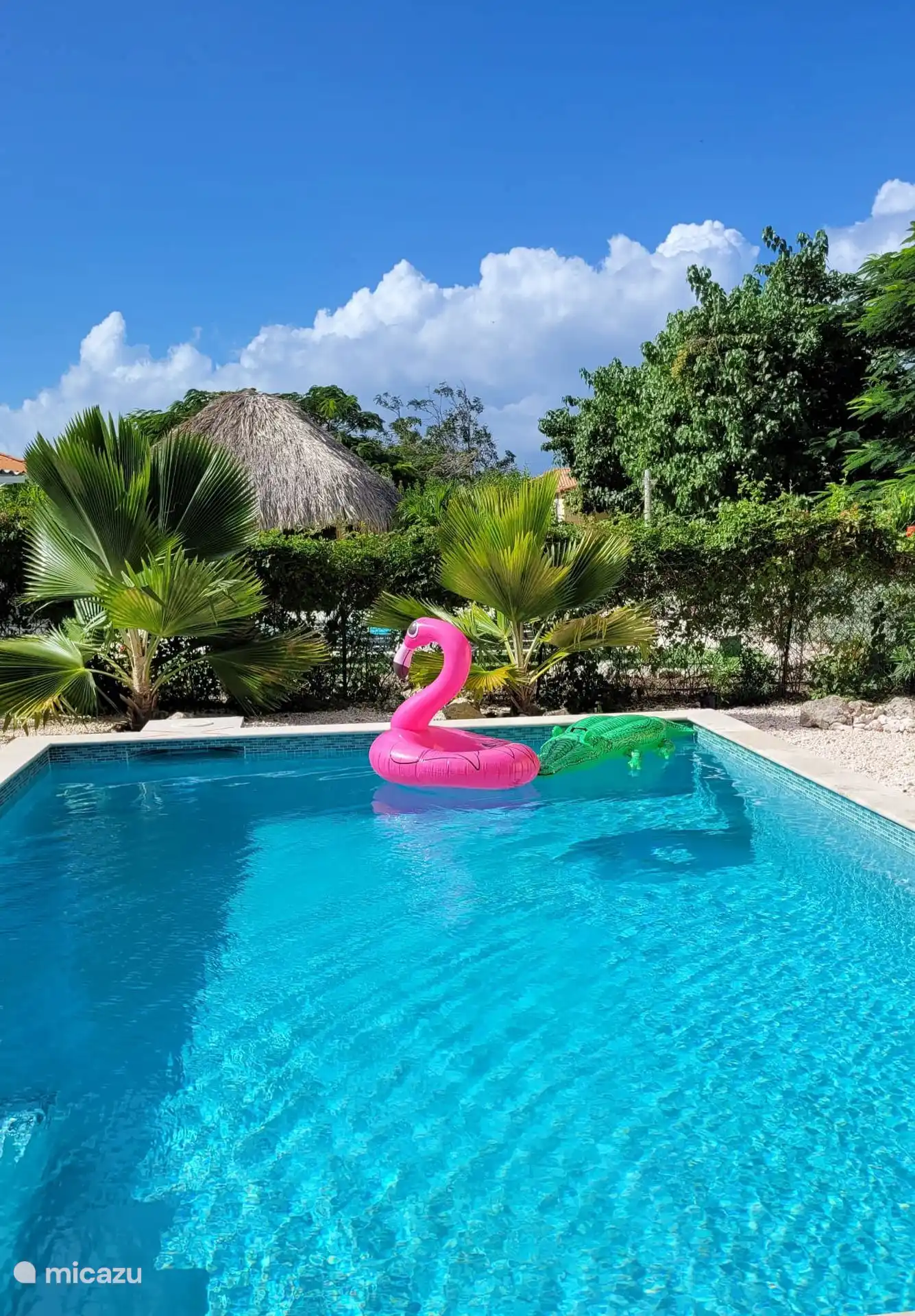 Il y a toujours quelques jouets gonflables et de plage, des nageoires, des tubas, des masques de snorkeling, des chaussures d’eau de toutes tailles