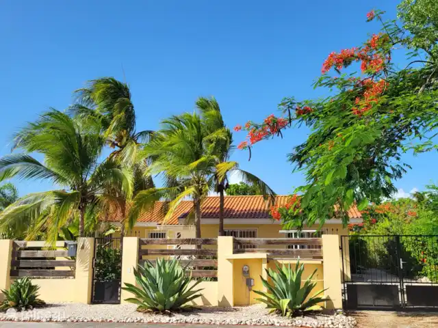 Villa Dushi Arembos, privézwembad 6p huren in Curaçao, Banda Abou (west), Grote Berg - villa De Flamboyant prachtig in bloei