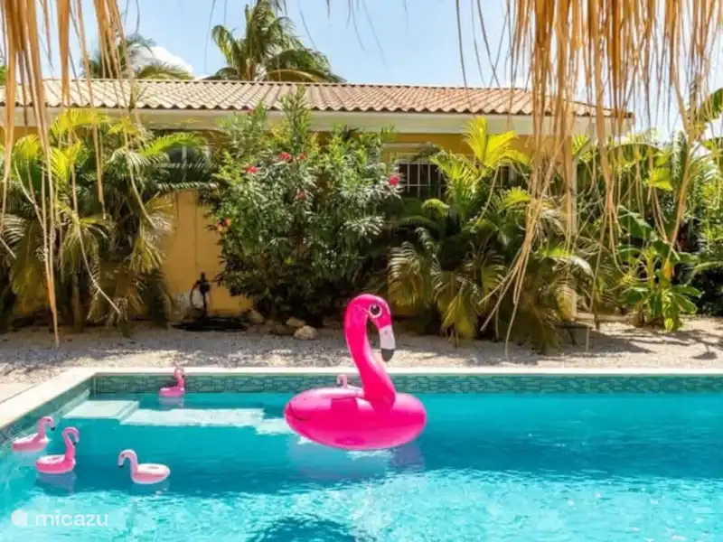 Villa Dushi Arembos, piscine privée 6p | Curaçao, Banda Abou (ouest), Big Mountain - Villa Villa Dushi Arembos, piscine privée 6p | Curaçao, Banda Abou (ouest), Big Mountain - Villa