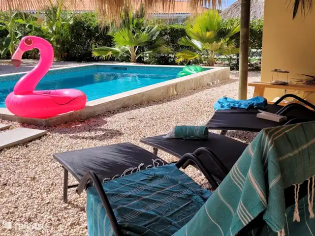 Villa Dushi Arembos, privézwembad 6p huren in Curaçao, Banda Abou (west), Grote Berg - villa Kom je met me zwemmen?