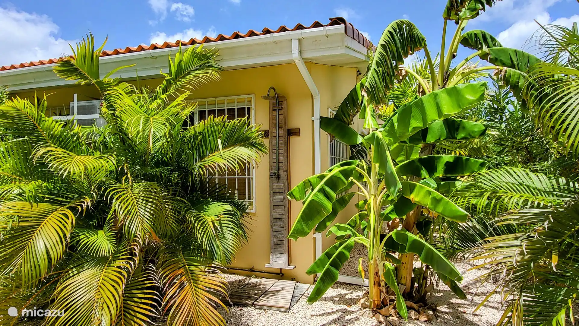 Douche tropicale en plein air, rafraîchissez-vous entre la banane et les palmiers !