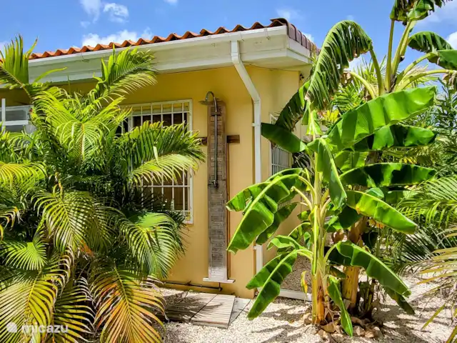 Villa Dushi Arembos, privézwembad 6p huren in Curaçao, Banda Abou (west), Grote Berg - villa Tropische buitendouche, lekker opfrissen tussen de banaan en de palmen!