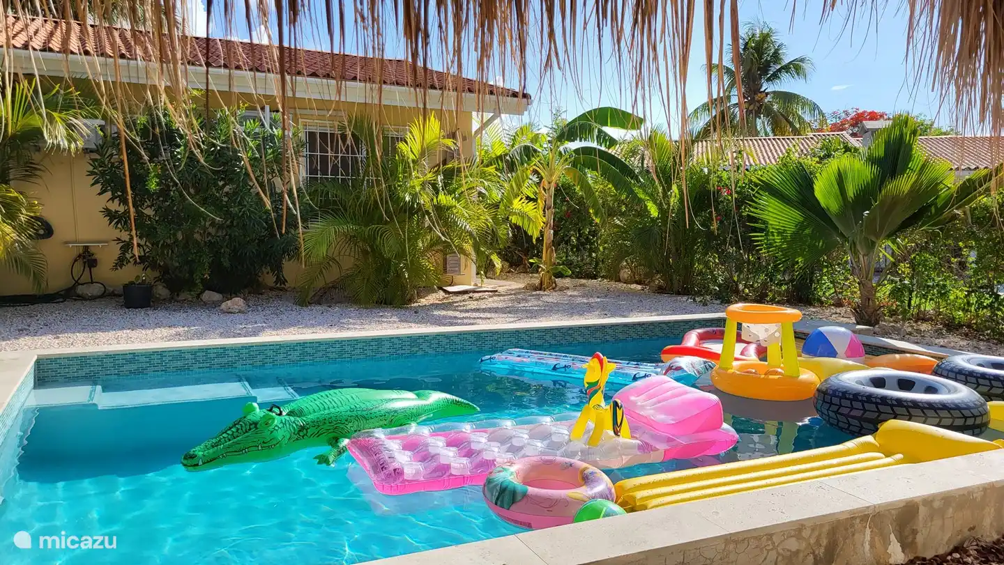 Le pool house est équipé de matelas pneumatiques, de jouets, de tubas, de palmes et de lunettes. Amusez-vous!!!