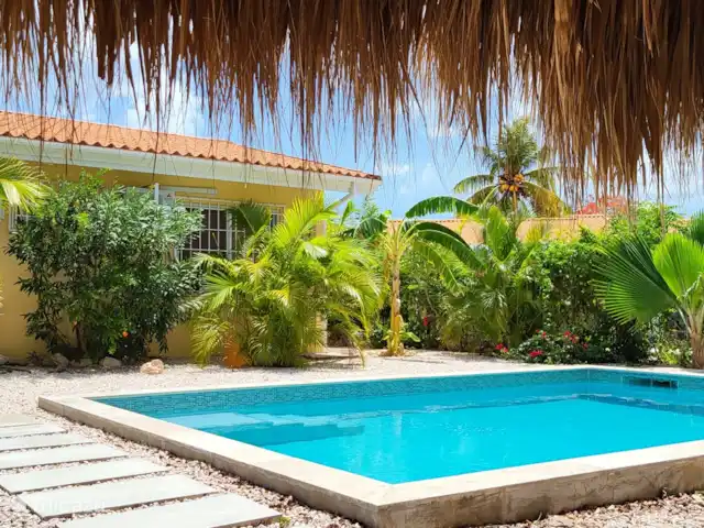Villa Dushi Arembos, privézwembad 6p huren in Curaçao, Banda Abou (west), Grote Berg - villa Ook de achtertuin is mooi volgroeid