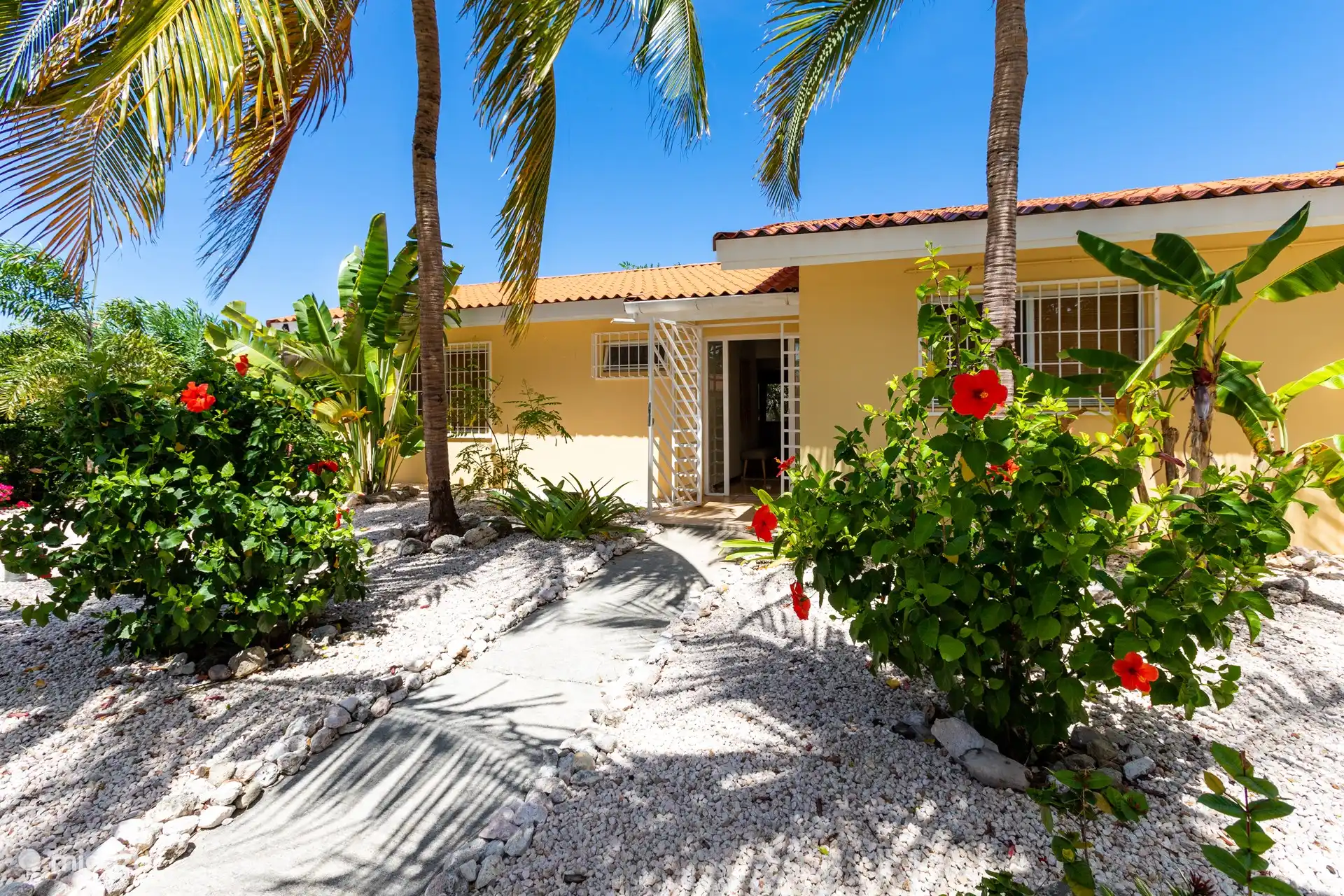 Jardin avant avec cocotiers, frangipaniers, tuturutu et hibiscus