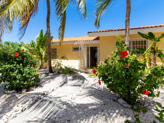 Villa Dushi Arembos, privézwembad 6p huren in Curaçao, Banda Abou (west), Grote Berg - villa Voortuin met kokospalmen, Frangipani, Tuturutu en Hibiscus
