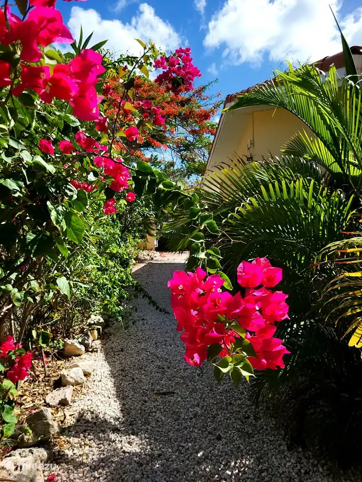 Quelle splendeur florale !