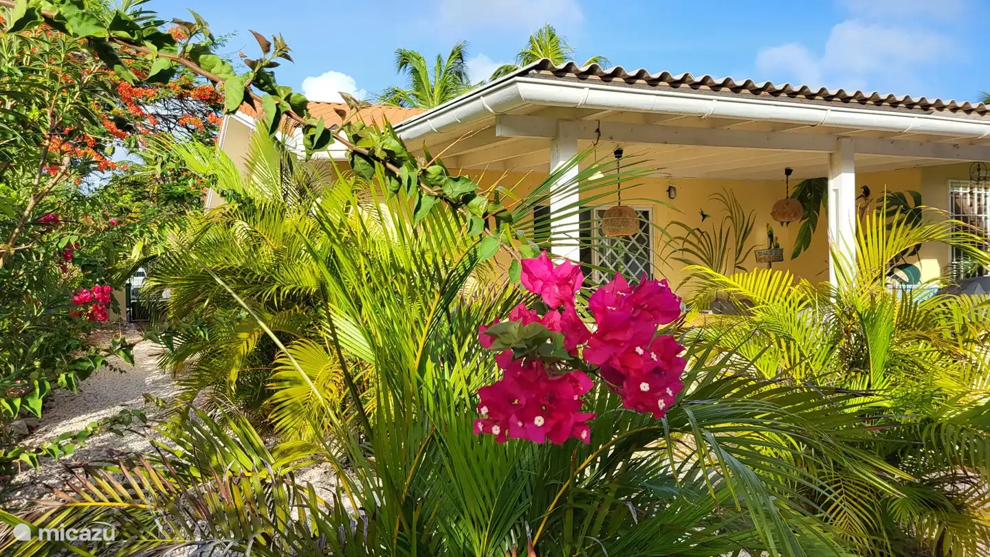 Beau jardin tropical mature