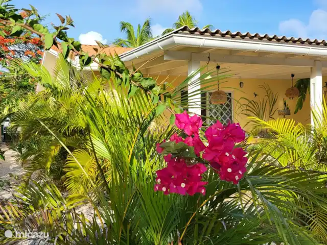 Villa Dushi Arembos, privézwembad 6p huren in Curaçao, Banda Abou (west), Grote Berg - villa Mooi volgroeide tropische tuin