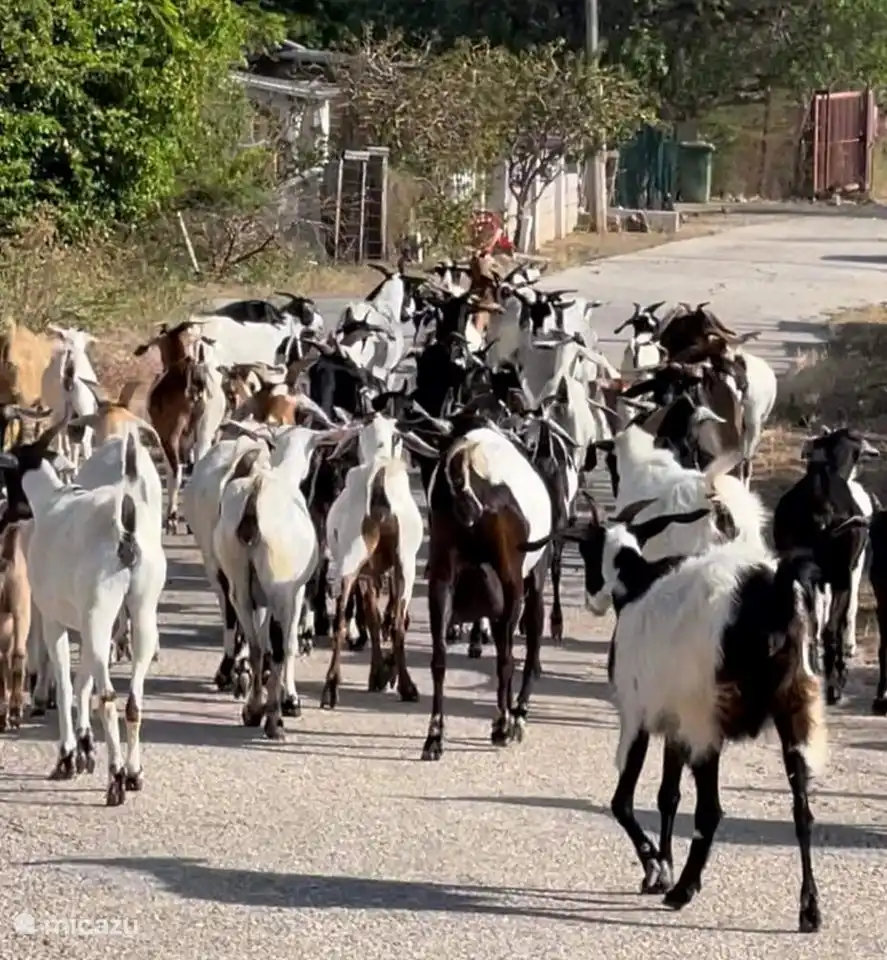 Tu rencontres ces gars partout, c'est si confortable