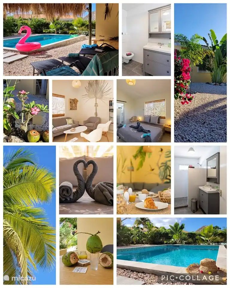 Impression d'ambiance