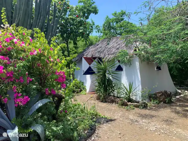 Villa Dushi Arembos, privézwembad 6p huren in Curaçao, Banda Abou (west), Grote Berg - villa Tegenover Jaanchies, richting Westpunt