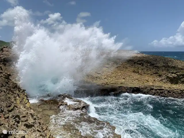 Villa Dushi Arembos, privézwembad 6p huren in Curaçao, Banda Abou (west), Grote Berg - villa Een van de wonderschone plekken bij nationaal park Shete Boka
