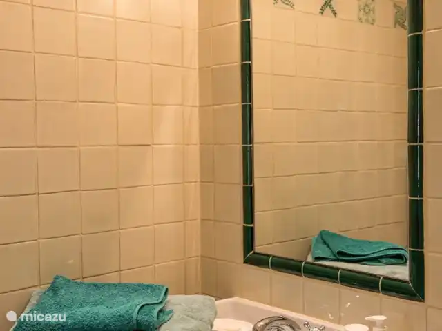 Location de Vacances France, Lot, Grezels, maison de vacances - Sirepêche La salle de bain