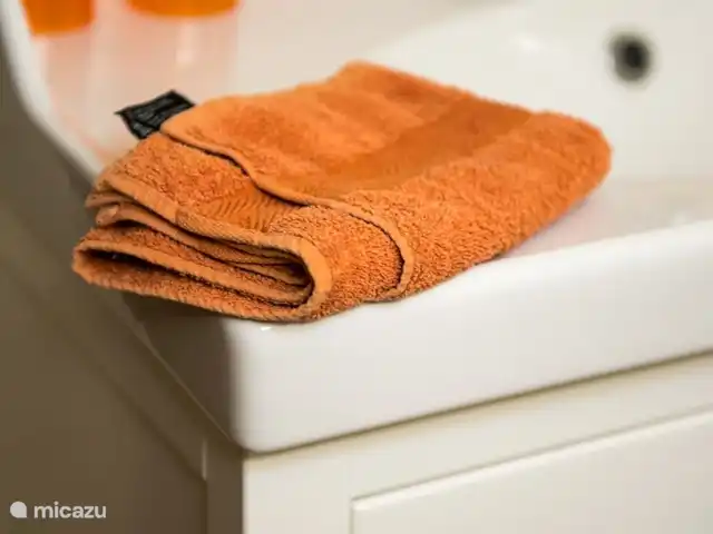 Location de Vacances France, Lot, Grezels, maison de vacances - Sirepêche La salle de bain