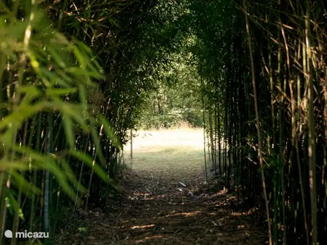 Location de Vacances France, Lot, Grezels, maison de vacances - Sirepêche La forêt de bambous