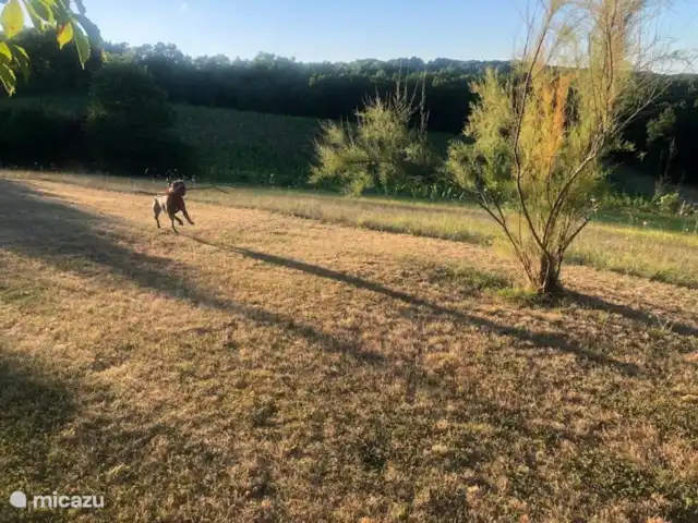 Location de Vacances France, Lot, Grezels, maison de vacances - Sirepêche Promenade dans le jardin