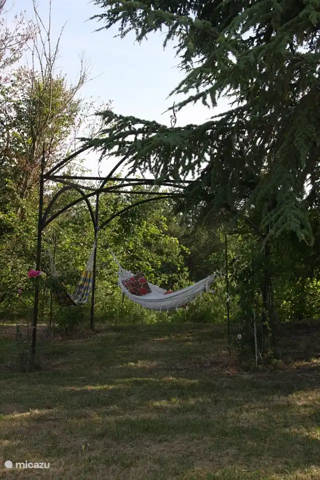 Mit einem Buch in einer Hängematte