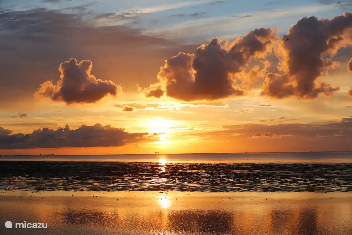 Die Wattenmeerküste