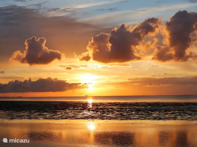Location de Vacances Pays-Bas, Frise, Ee (le), maison de vacances - Le Terphuisje - Ee, Frise La côte des Wadden