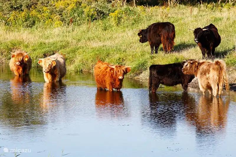 Nationalpark Lauwersmeer