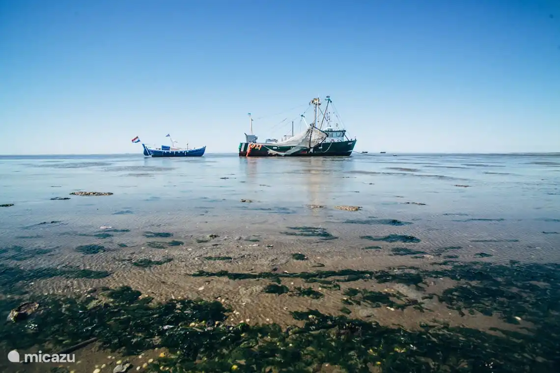Die Küste des Wattenmeeres.