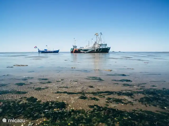Location de Vacances Pays-Bas, Frise, Ee (le), maison de vacances - Le Terphuisje - Ee, Frise La côte des vasières.