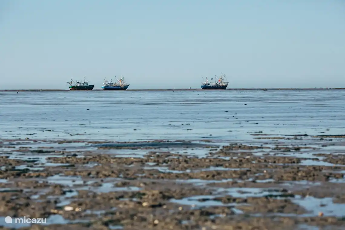 Die Küste des Wattenmeeres.