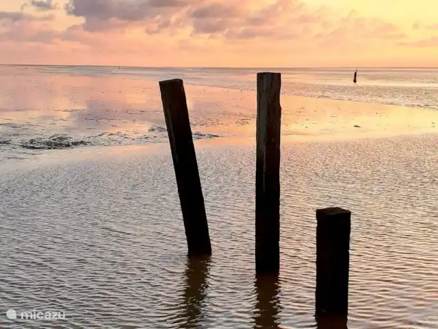 Location de Vacances Pays-Bas, Frise, Ee (le), maison de vacances - Le Terphuisje - Ee, Frise La mer des Wadden