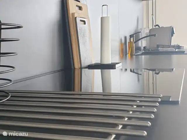 Vakantiewoning LLÝR huren in Nederland, Drenthe, Hoogeveen - bungalow de matzwarte keuken met Inductiekookplaat