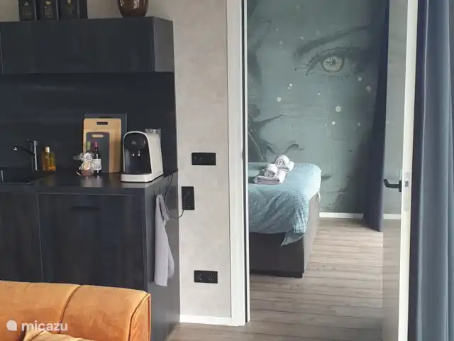 Vakantiewoning LLÝR huren in Nederland, Drenthe, Hoogeveen - bungalow Vanuit de slaapkamer loop je zo naar de Matzwarte moderne keuken voor een heerlijk kopje koffie.