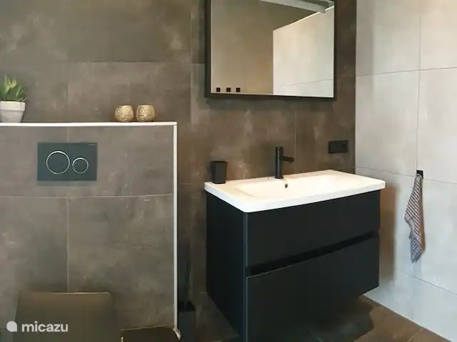 Vakantiewoning LLÝR huren in Nederland, Drenthe, Hoogeveen - bungalow Badkamer met Toilet en wastafel