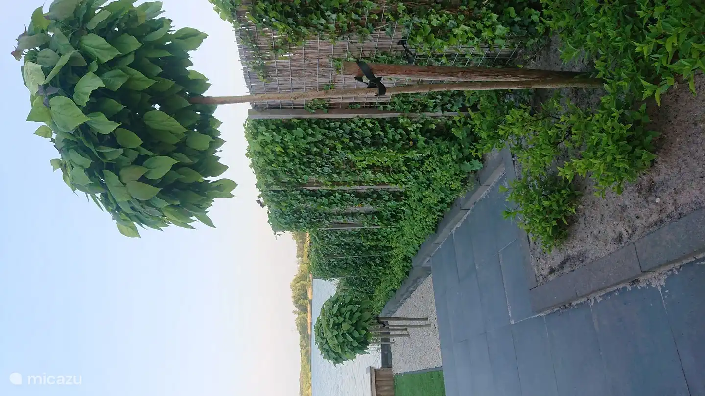 Die Pflanzen und Bäume sorgen für ein schönes Aussehen.