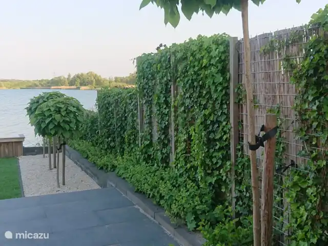 Vakantiewoning LLÝR huren in Nederland, Drenthe, Hoogeveen - bungalow De planten en boompjes zorgen voor een mooie uitstraling.