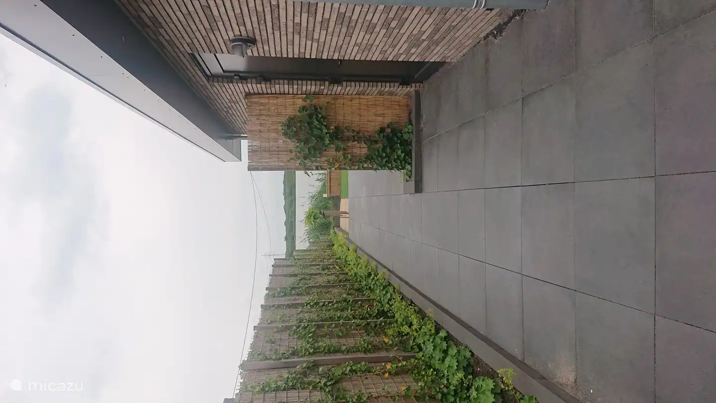 Auf der anderen Seite des Hauses befindet sich der Abstellraum und viel Grün.