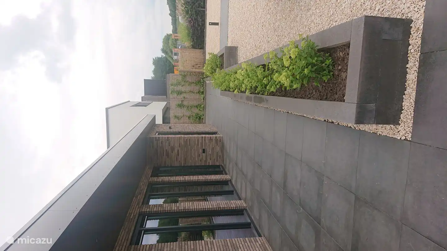 Die Pflanzen wachsen wunderschön, so dass der Garten natürlich aussieht.