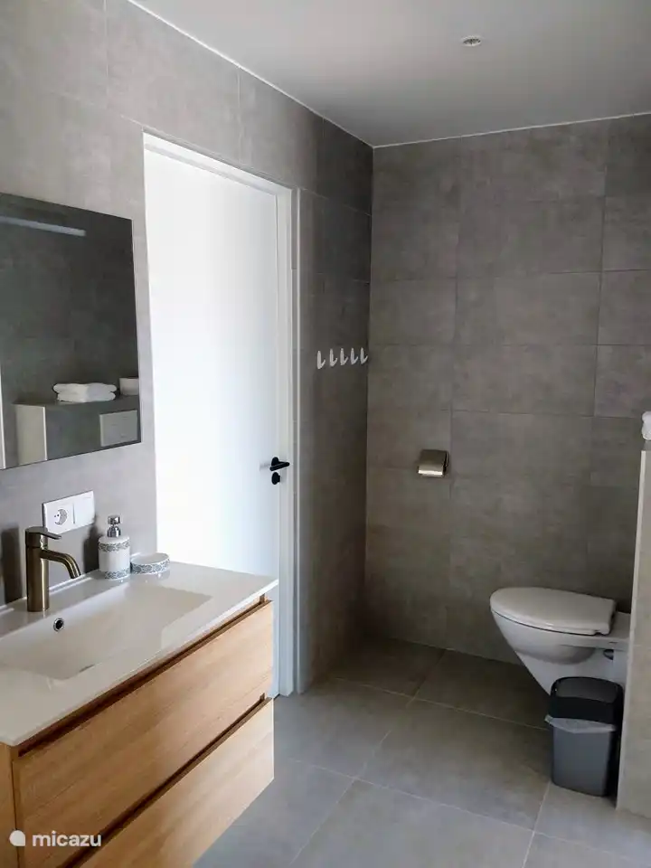 Badezimmer (1) mit Waschbecken, ebenerdiger Regendusche und WC