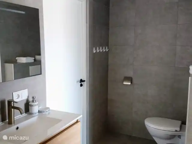Villa Masha Danki huren in Curaçao, Curacao-Midden, Sint Michiel - villa Badkamer 1 met wastafel, inloop regendouche en toilet